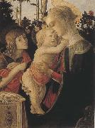Madonna of the Rose Garden or Madonna and Child with St John the Baptist Botticelli